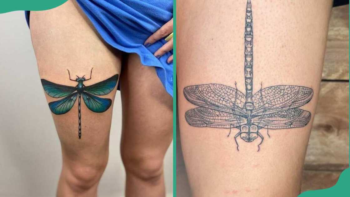 Dragonfly tattoo on the thigh Dragonfly tattoo on the thigh