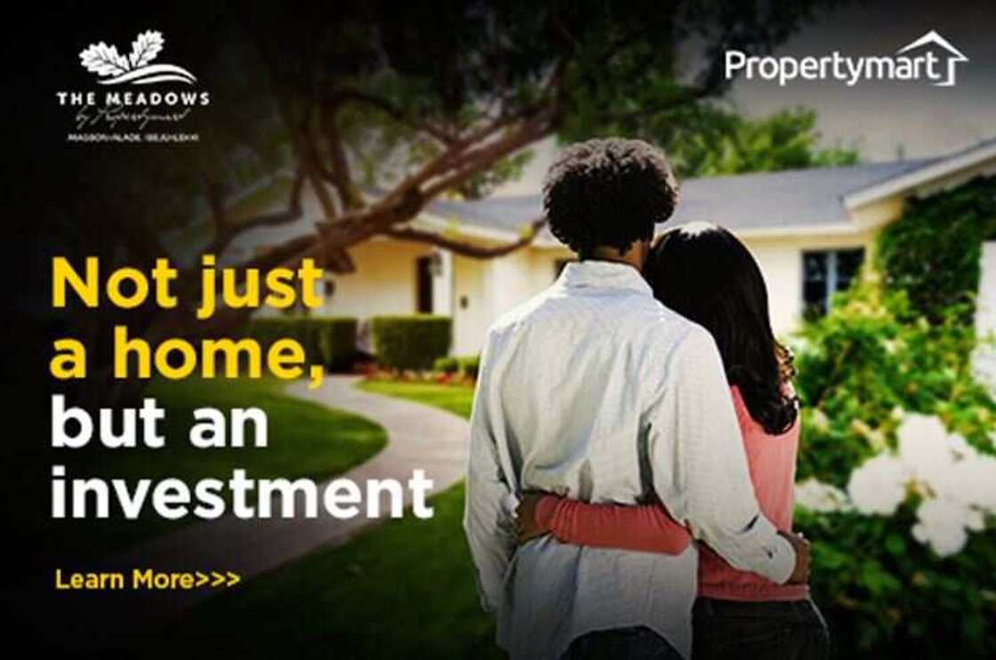The Meadows by PropertyMart Set to Deliver 40% ROI to Early Investors The Meadows by PropertyMart Set to Deliver 40% ROI to Early Investors