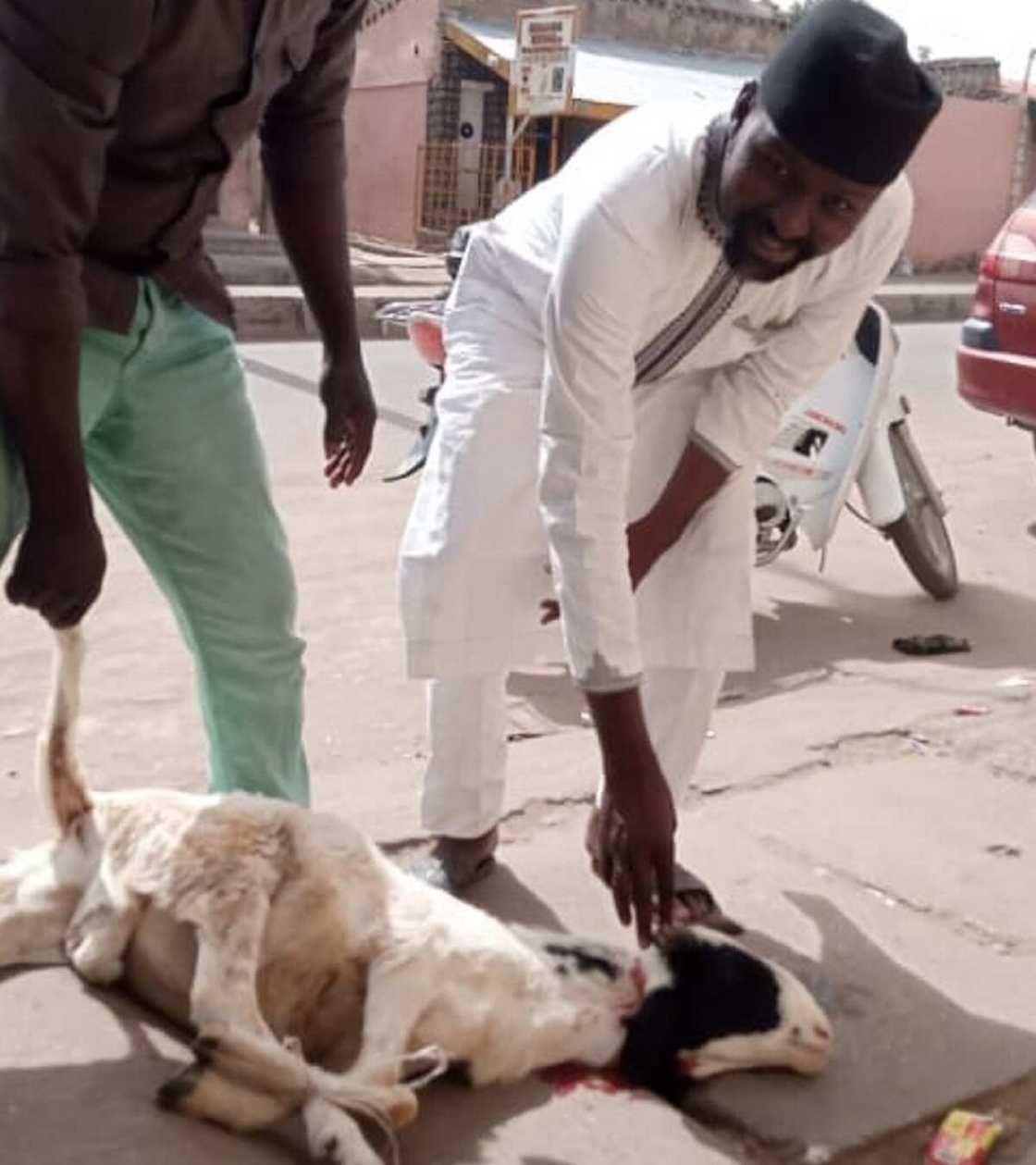 Bakatsine ya yanka rago, ya shirya kayatacciyar liyafar dawowar Buhari daga London Bakatsine ya yanka rago, ya shirya kayatacciyar liyafar dawowar Buhari daga London