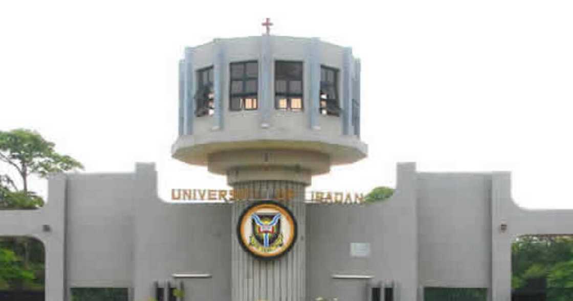 Vice-Chancellor of UI Vice-Chancellor of UI