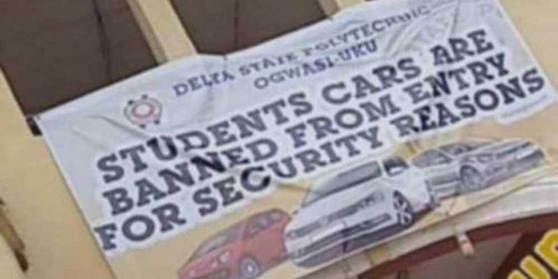 Delta Poly allegedly bans students from driving cars on campus, cites security reasons Delta Poly allegedly bans students from driving cars on campus, cites security reasons