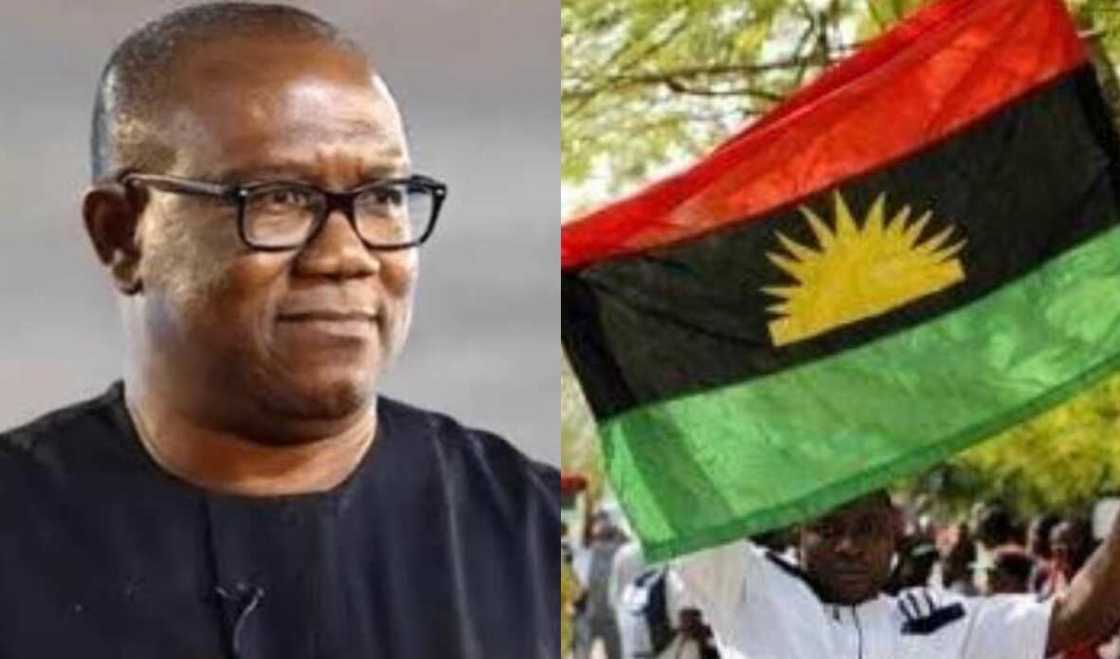 Peter Obi ya magantu kan yadda aka kirkiri ESN, ya ce ba zai wufantar dasu ba Peter Obi ya magantu kan yadda aka kirkiri ESN, ya ce ba zai wufantar dasu ba