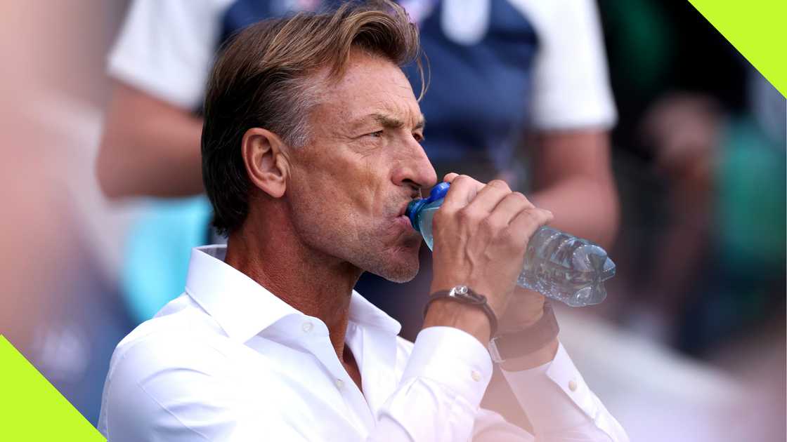 Herve Renard is linked with Super Eagles job Herve Renard is linked with Super Eagles job