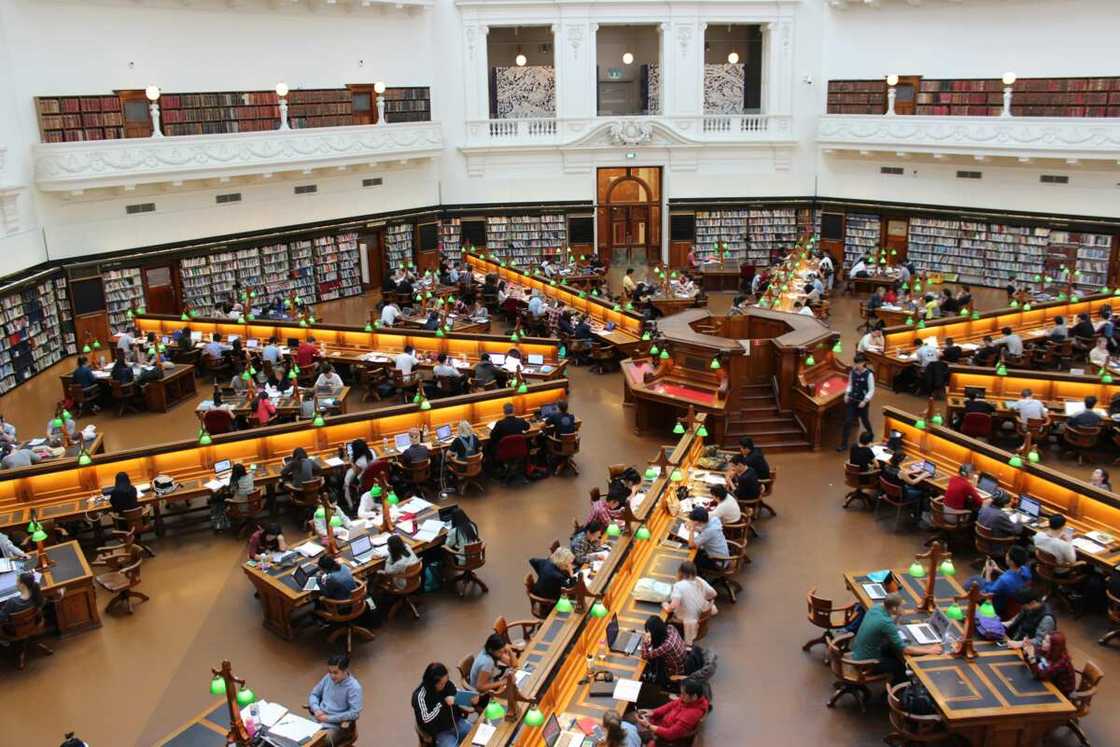 Students in a library