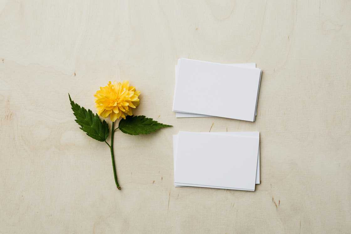 A picture of mockup business cards beside a yellow flower on a beige background