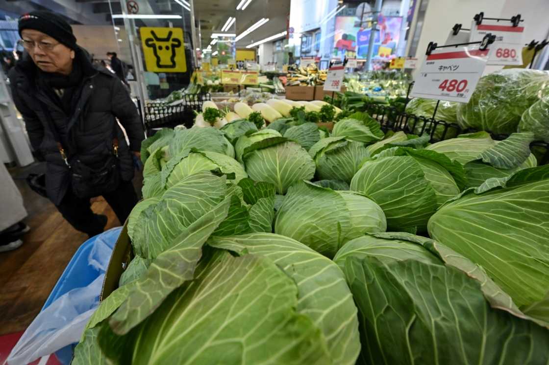 In January, the price of cabbage almost tripled year-on-year after last year's record summer heat