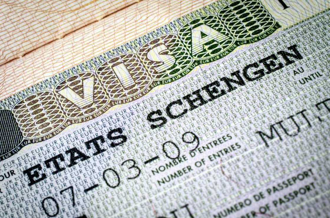 Canada Rejects 2.36 Million Applications Seeking Visas and Work Permits, Gives Reason Canada Rejects 2.36 Million Applications Seeking Visas and Work Permits, Gives Reason
