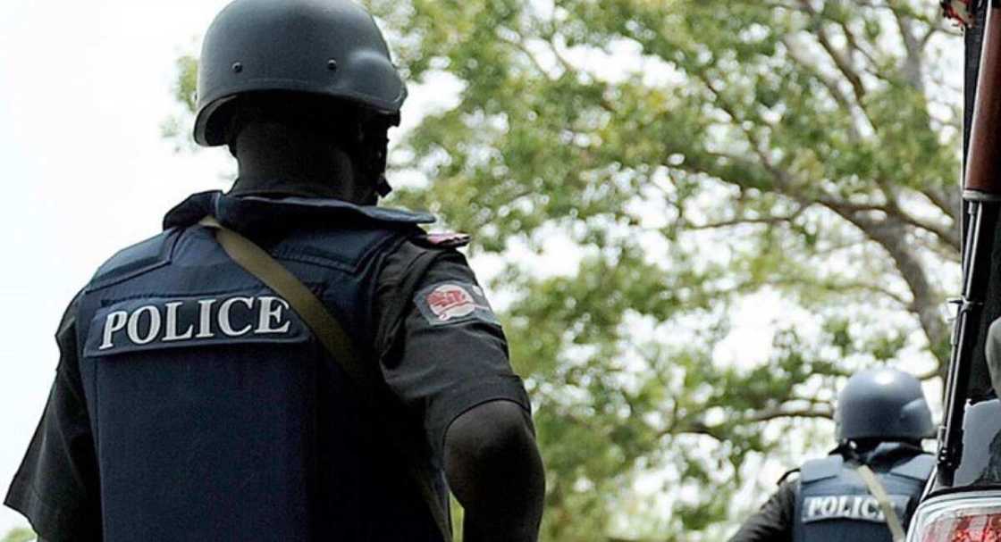 Yan Sandan Najeriya. Yan Sandan Najeriya.