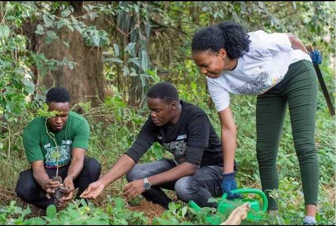 LEAP Africa and Dow Engage Over 5000 Youth to Transform Communities across 34 African Countries LEAP Africa and Dow Engage Over 5000 Youth to Transform Communities across 34 African Countries