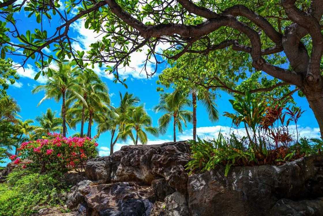 Hawaiian last names Hawaiian last names