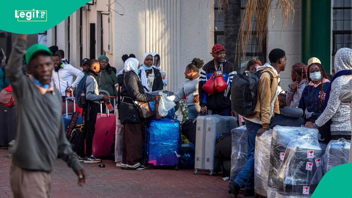 Lekan olayiwola highlights emotional and economic stress facing nigerians returning home after xenophobia-linked exits