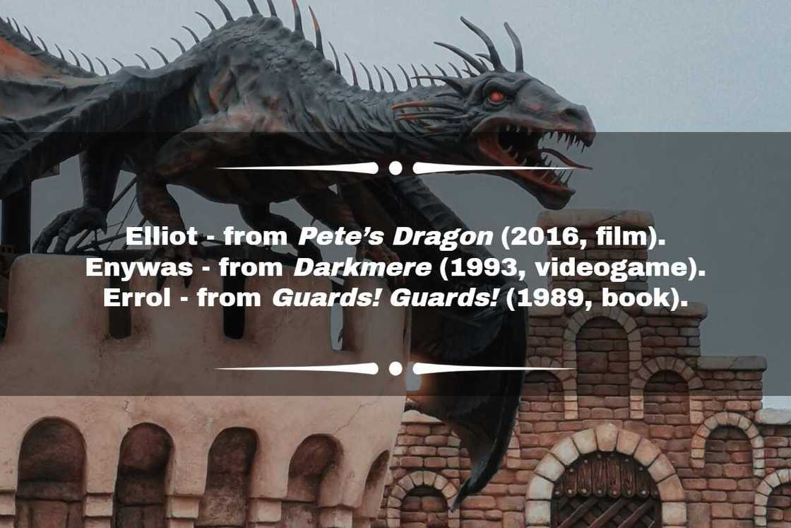 Famous dragon names Famous dragon names