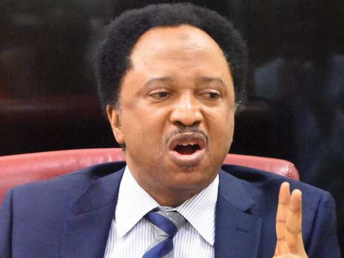 Shehu Sani Shehu Sani
