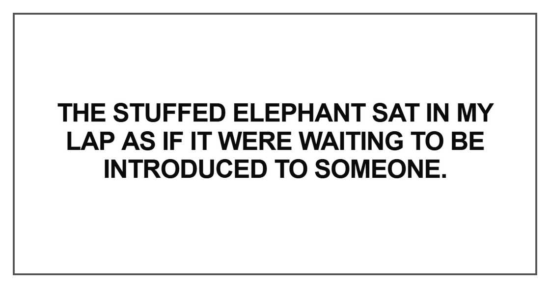 The stuffed elephant sat in my lap as