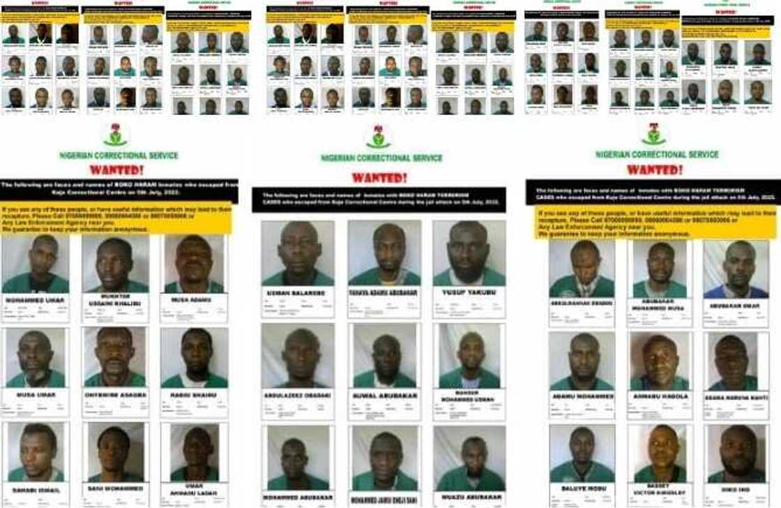 'Yan Boko Haram da suka tsere: Ana nemansu ruwa a jallo 'Yan Boko Haram da suka tsere: Ana nemansu ruwa a jallo