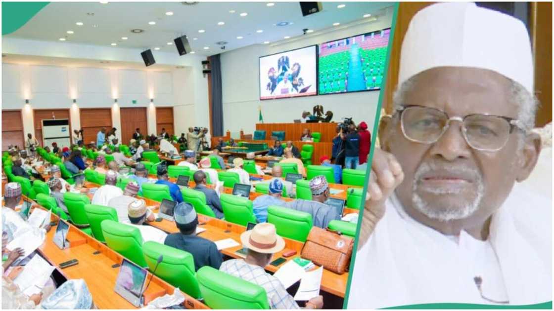 Aminu Dantata/Kano/House of Representatives/Presidential System of Government/Parliamentary Aminu Dantata/Kano/House of Representatives/Presidential System of Government/Parliamentary
