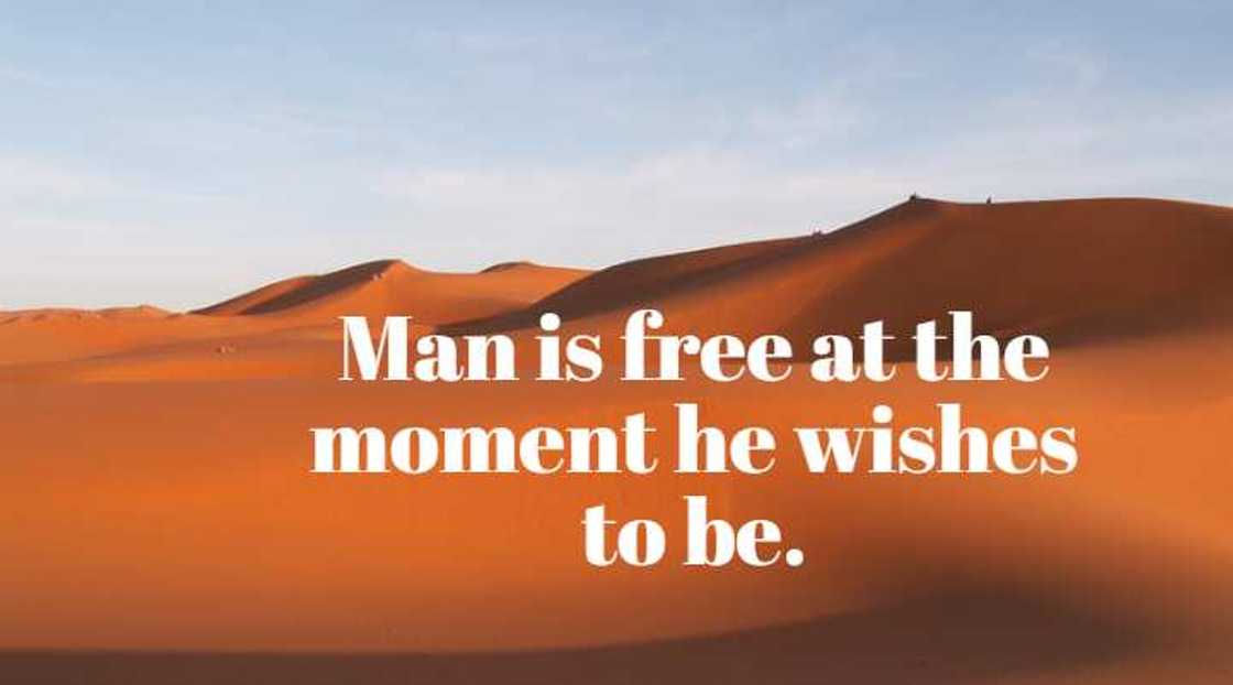 voltaire famous quotes voltaire famous quotes