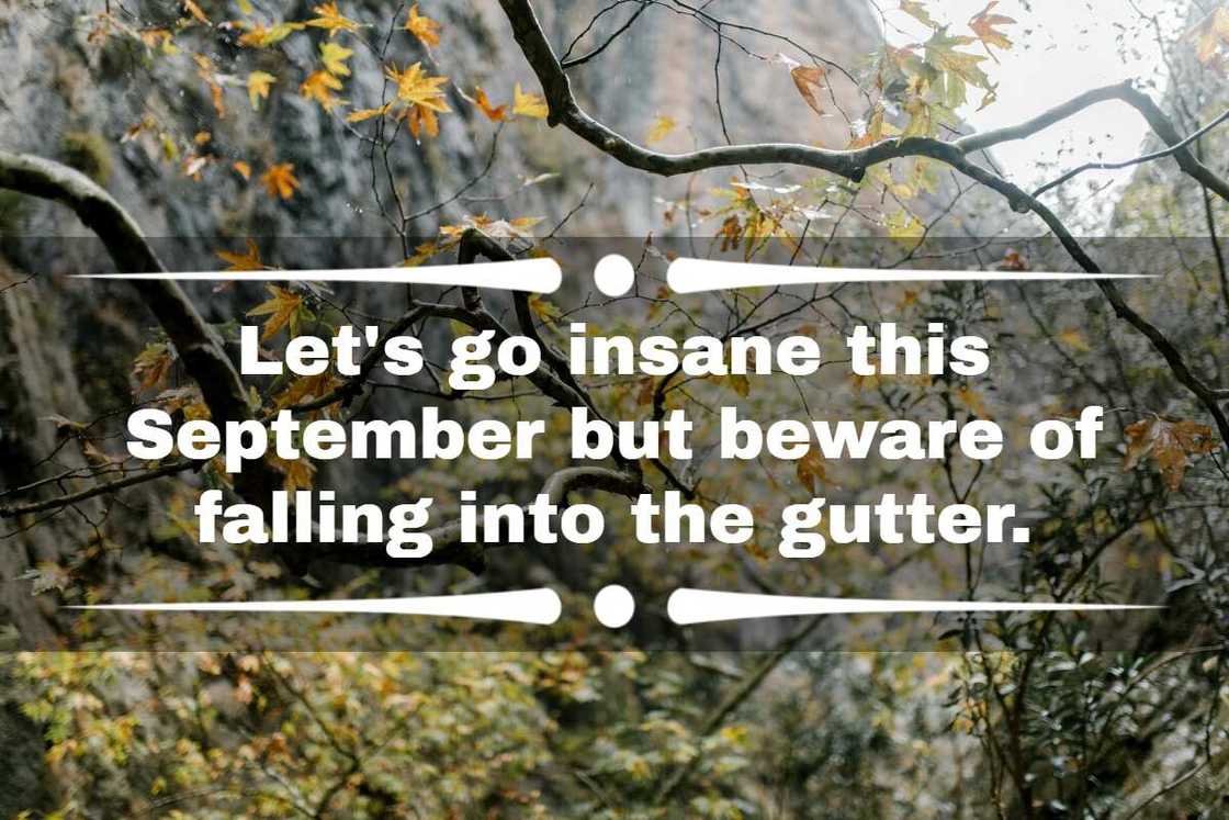 hello September quotes