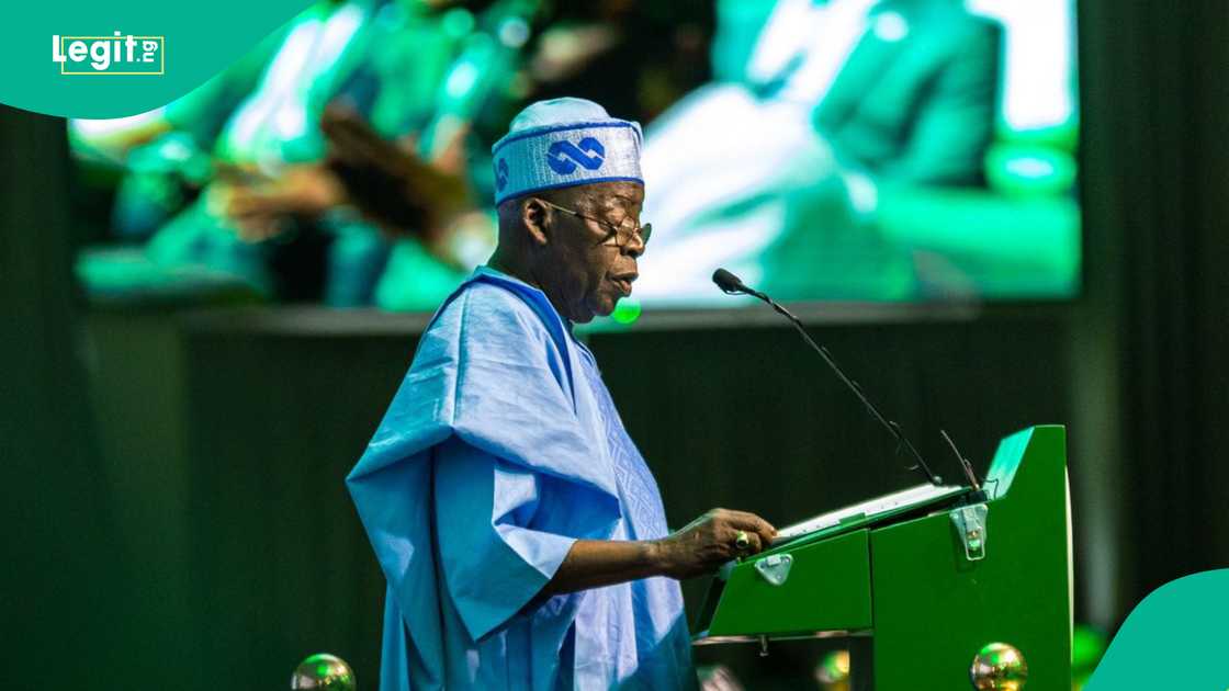 Former Kano LG Boss Lists Tinubu's Key Projects in the North, Knocks Kwankwaso Former Kano LG Boss Lists Tinubu's Key Projects in the North, Knocks Kwankwaso