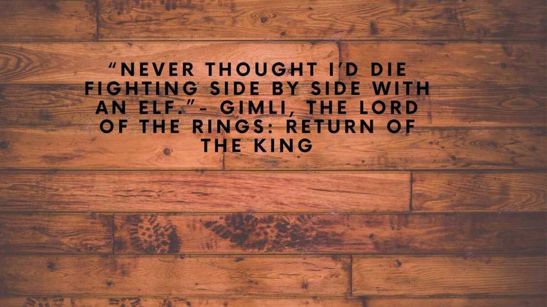 Funny Lord of the Rings quotes Funny Lord of the Rings quotes