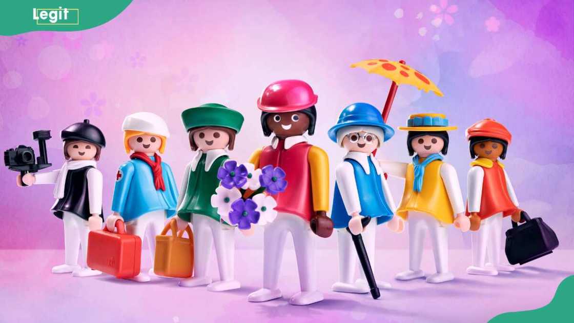 Playmobil toy