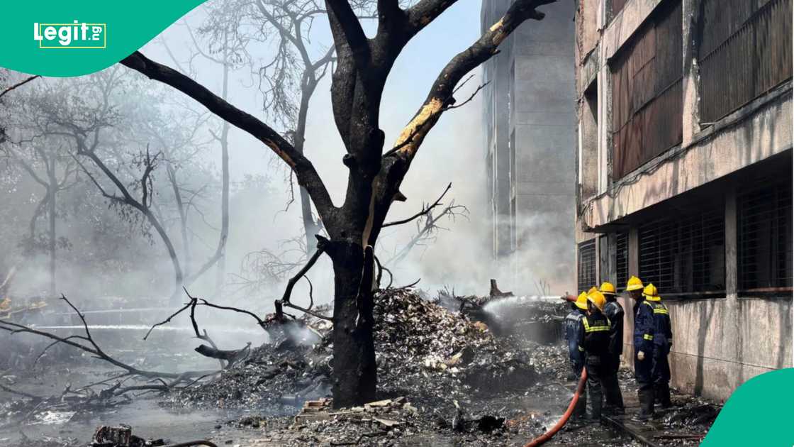 Plane crashes in Western India with 242 aboard