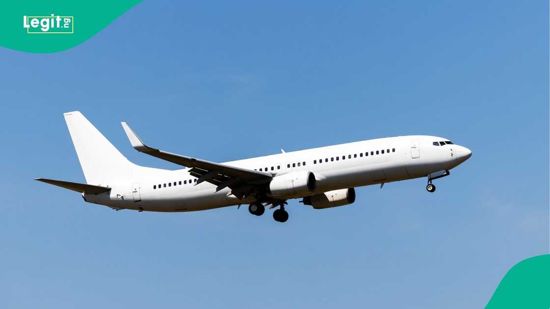 White paint helps aircraft reflect heat and manage cabin temperatures more efficiently, while a white fuselage also makes branding easier and supports higher resale value. White paint helps aircraft reflect heat and manage cabin temperatures more efficiently, while a white fuselage also makes branding easier and supports higher resale value.