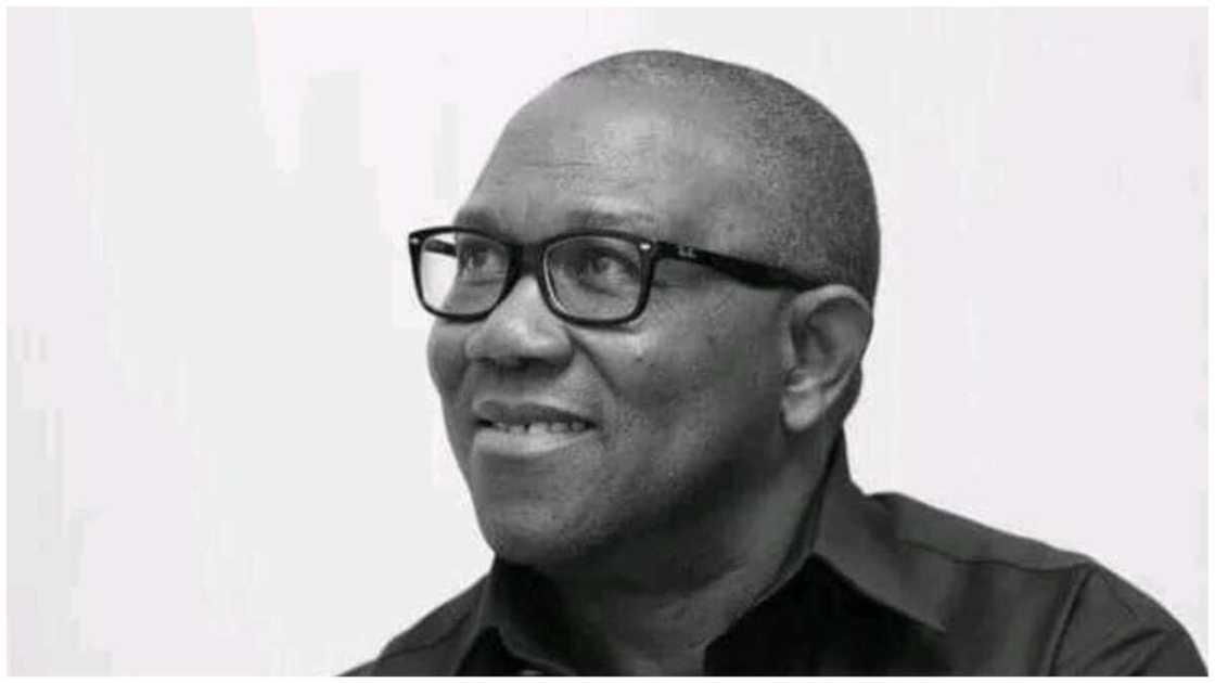 Peter Obi/Labour Party/INEC/PVC/2023 elections Peter Obi/Labour Party/INEC/PVC/2023 elections