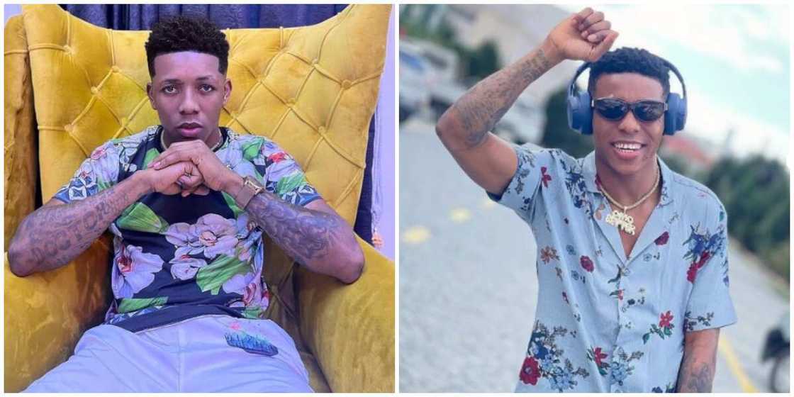 Photos of Small Doctor. Photos of Small Doctor.