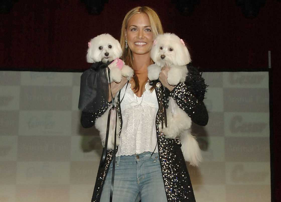Vanessa Trump walks the runway with pet dogs Vanessa Trump walks the runway with pet dogs