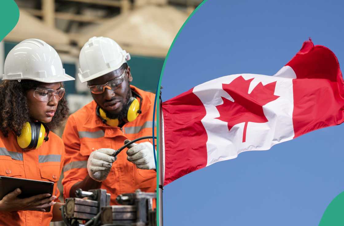 The Canadian government said skilled workers are needed in STEM, healthcare and education. The Canadian government said skilled workers are needed in STEM, healthcare and education.