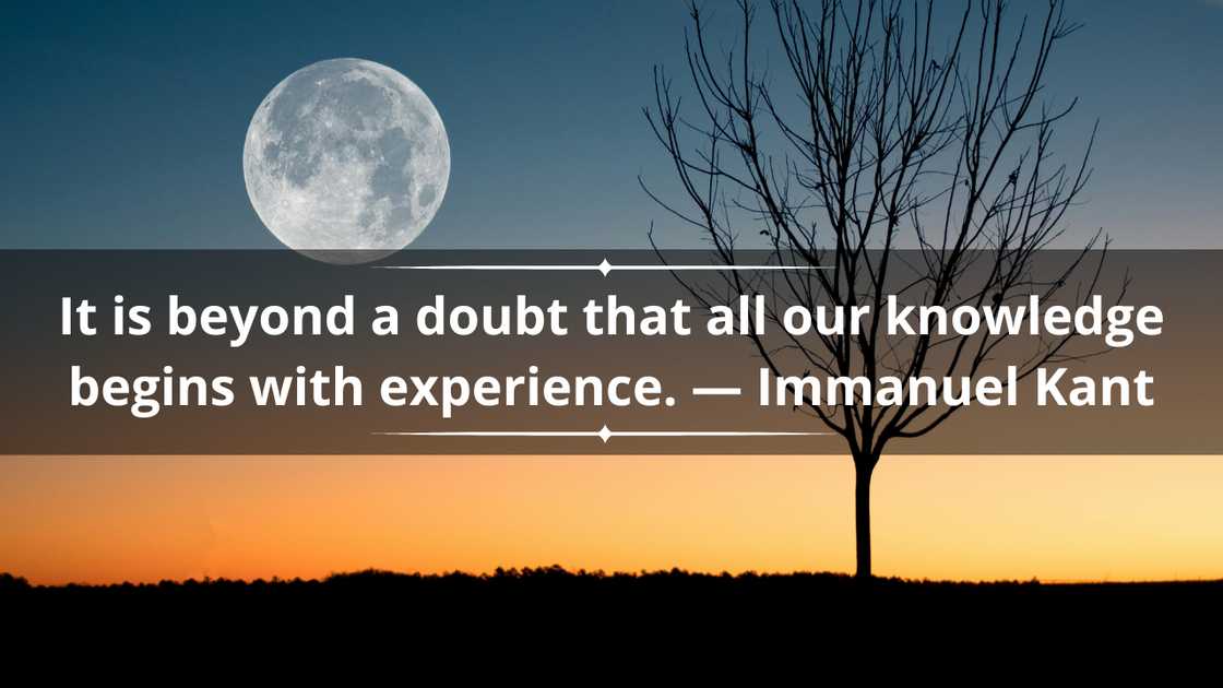 Knowledge quotes about life