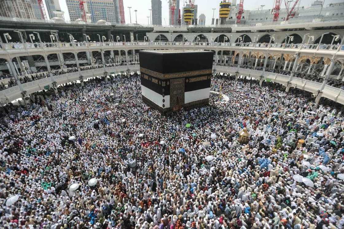 Hajj/Dhu al-Hijja/Eid-Il-Kabir/Mecca/Kaaba/Medina Hajj/Dhu al-Hijja/Eid-Il-Kabir/Mecca/Kaaba/Medina