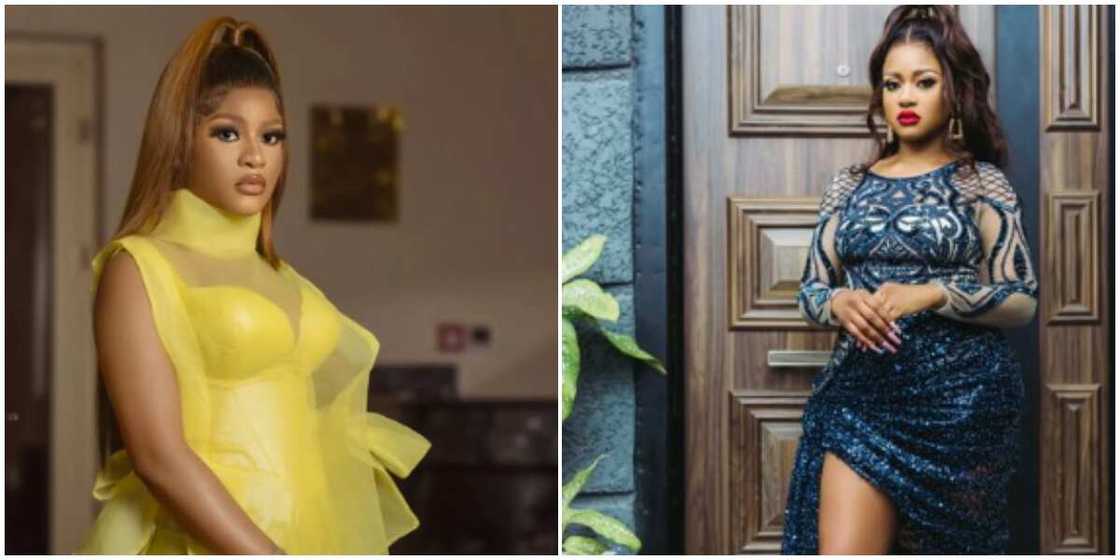 Phyna and haters Phyna and haters