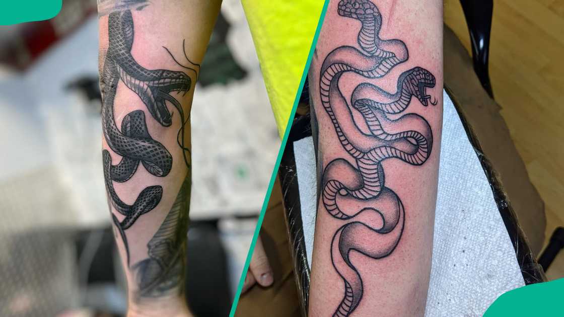 Snakes tattoo