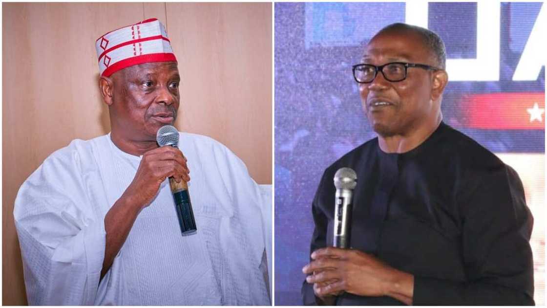 Peter Obi/Kwankwaso/N40bn/Labour Party Presidential Candidate Peter Obi/Kwankwaso/N40bn/Labour Party Presidential Candidate