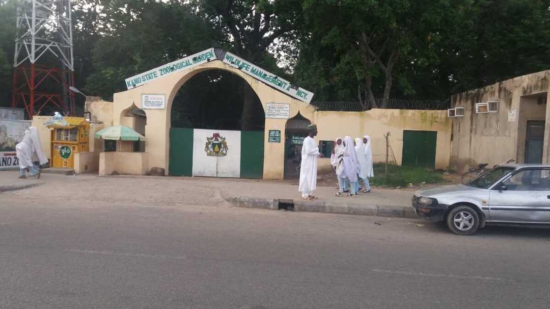 Kano: 'Yan bindiga sun yi harbe-harbe a kan titin zuwa gidan Zoo