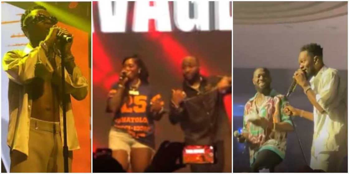 Nigerian celebs Nigerian celebs
