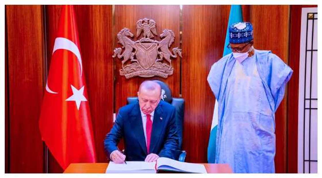 Buhari and Erdogan Buhari and Erdogan