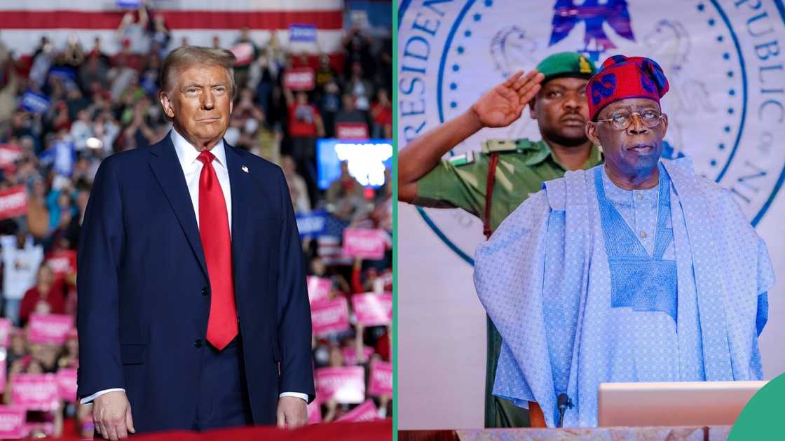 US election, new national anthem topped Google Trend 2024 US election, new national anthem topped Google Trend 2024