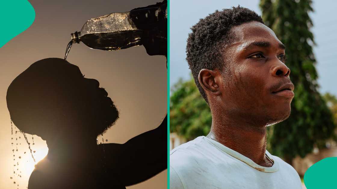 Cotton clothing regulates body temperature and keeps you comfortable. Cotton clothing regulates body temperature and keeps you comfortable.