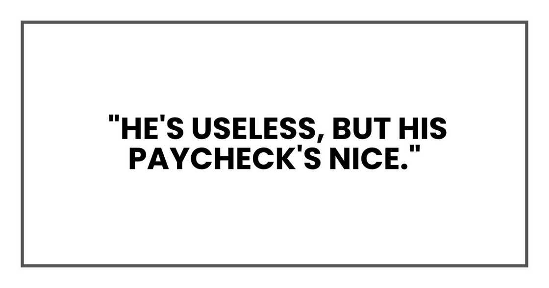 "He's useless, but his paycheck's nice." "He's useless, but his paycheck's nice."