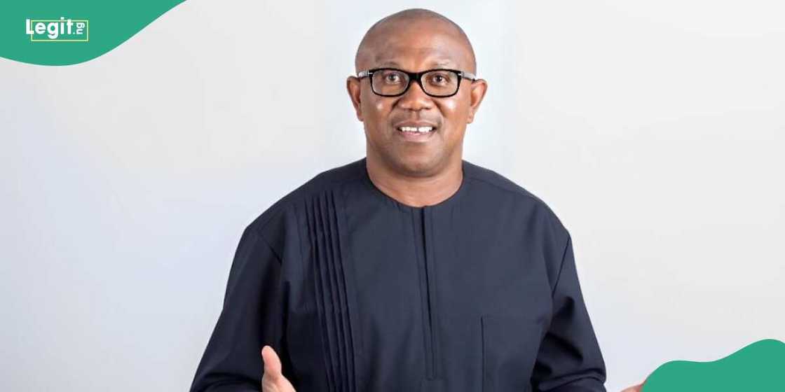 Peter Obi advises international supporters on who to vote for during the UK election Peter Obi advises international supporters on who to vote for during the UK election
