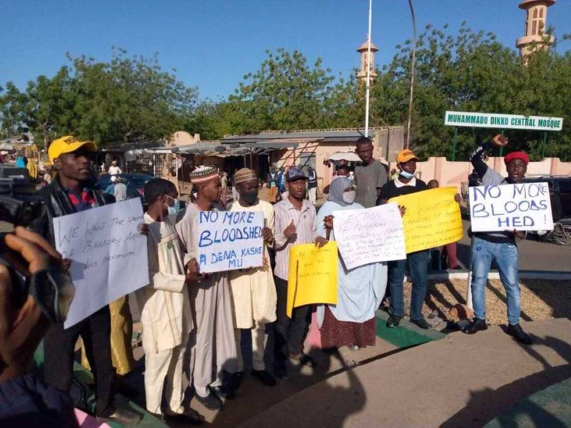 Katsina protesters Katsina protesters