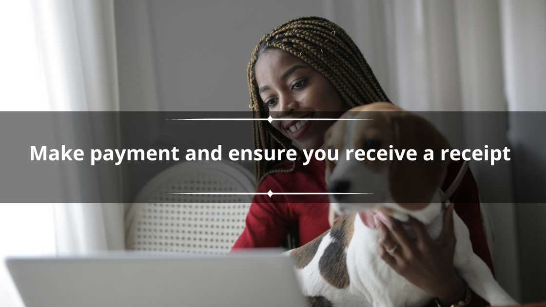 A woman sitting on the couch with a maroon top with her dog, working on a computer. A woman sitting on the couch with a maroon top with her dog, working on a computer.