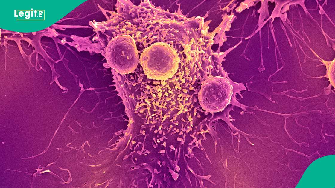 Persistent changes in the body signal cancer risk and demand medical attention.