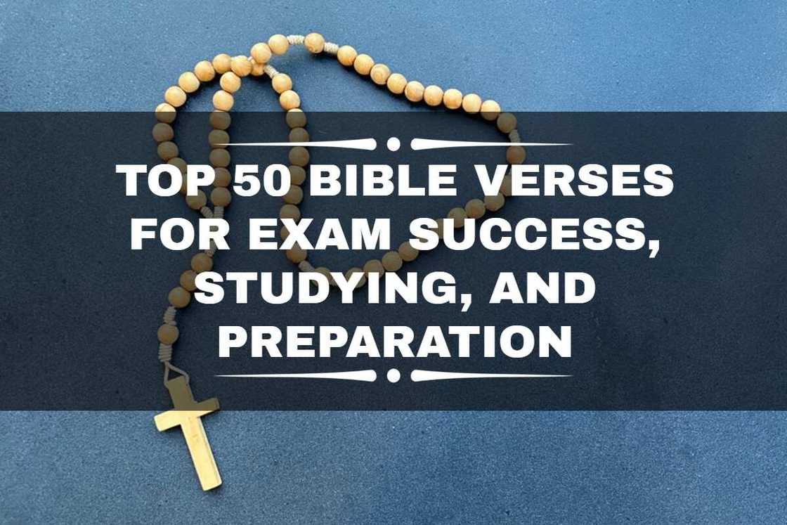 bible verses about studying hard