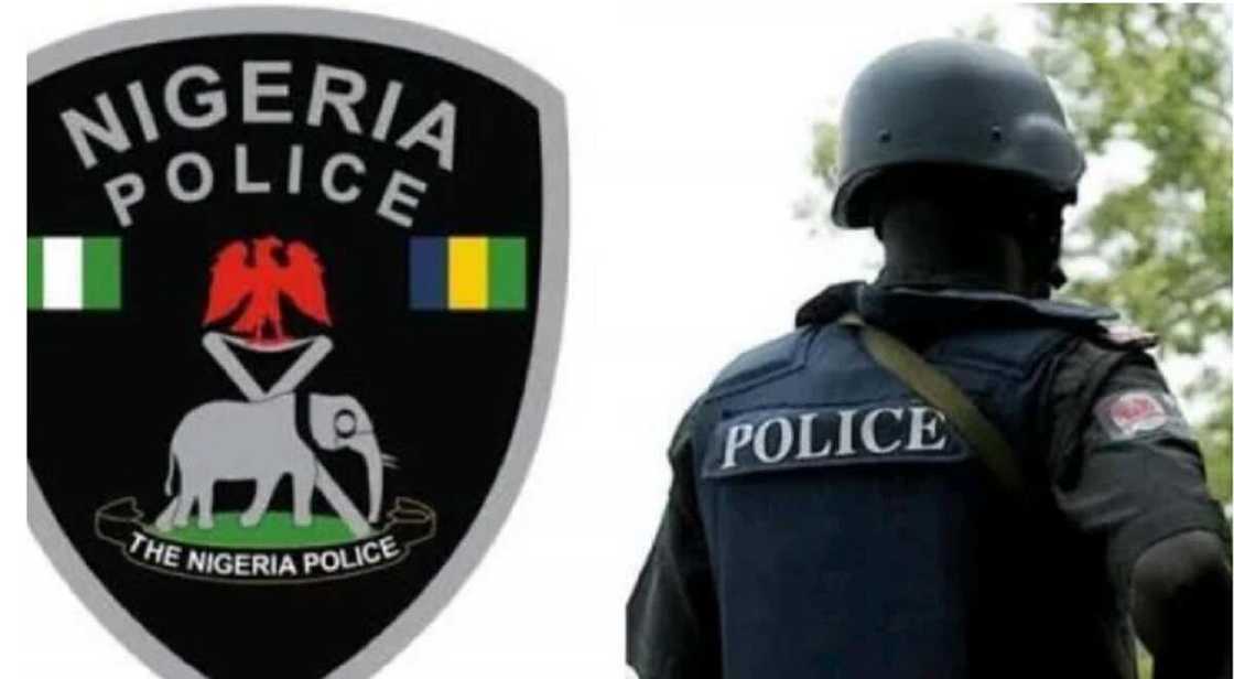 Kano: 'Yan sanda sun kama mutum 362 da ake zargin masu garkuwa ne da 'yan fashi a 2021 Kano: 'Yan sanda sun kama mutum 362 da ake zargin masu garkuwa ne da 'yan fashi a 2021