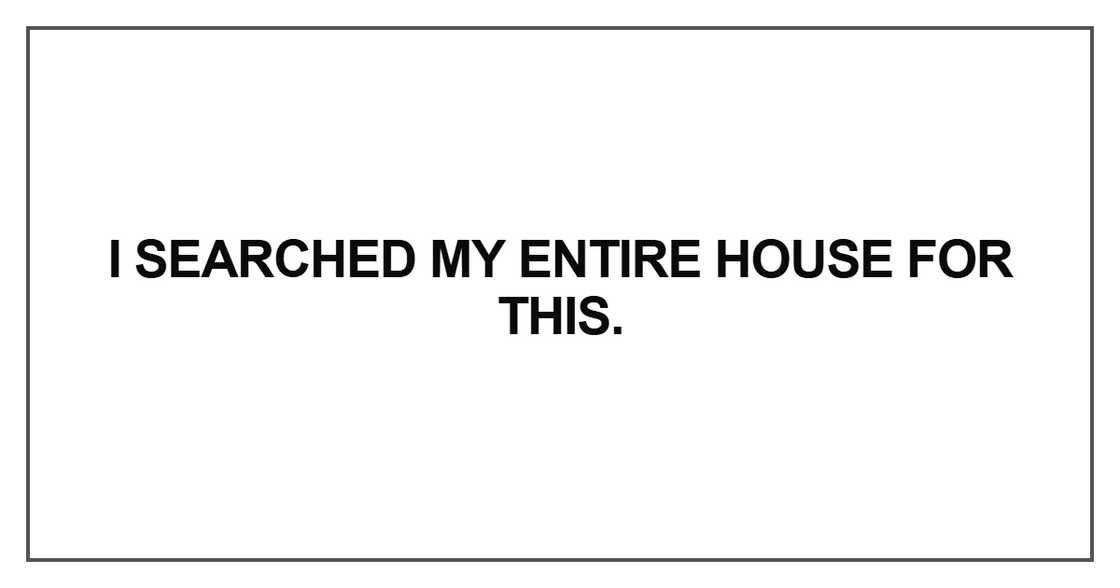 I searched my entire house for this