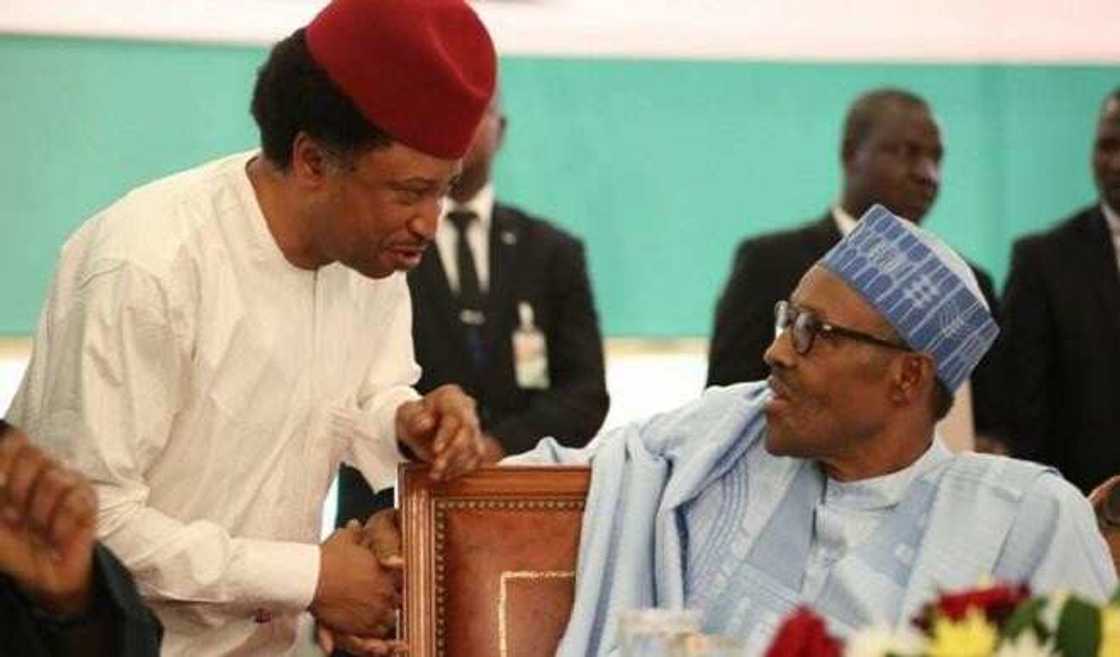 Shehu Sani and President Buhari Shehu Sani and President Buhari
